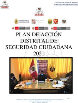 PLAN DE ACCIÓN DISTRITAL DE SEGURIDAD CIUDADANA