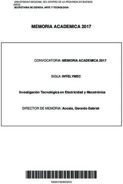 CE* - MEMORIA ACADEMICA 2017 - UNICEN