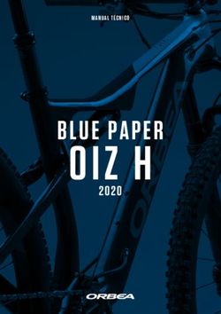 OIZ H BLUE PAPER 2020 - Orbea