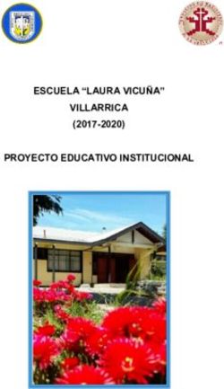 VILLARRICA (2017-2020) - PROYECTO EDUCATIVO INSTITUCIONAL ESCUELA "LAURA VICU&Ntilde;A"
