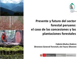 Presente y futuro del sector forestal peruano: el caso de las concesiones y las plantaciones forestales - Fabiola Muñoz Dodero Directora General ...