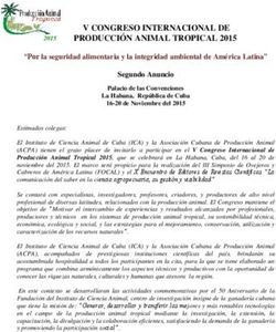V CONGRESO INTERNACIONAL DE