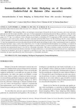 Inmunolocalizaci&oacute;n de Sonic Hedgehog en el Desarrollo Embrio-Fetal de Ratones (Mus musculus) - SciELO