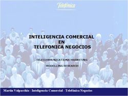 INTELIGENCIA COMERCIAL EN TELEFONICA NEGOCIOS - Martin Volpacchio - Inteligencia Comercial - Telef&oacute;nica Negocios