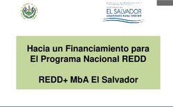 HACIA UN FINANCIAMIENTO PARA EL PROGRAMA NACIONAL REDD REDD+ MBA EL SALVADOR