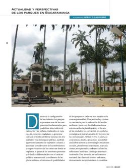 Actualidad y perspectivas de los parques en Bucaramanga