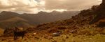 P.N. SIERRA NEVADA: DONDE NACEN LAS MONTA&Ntilde;AS
