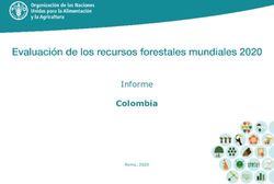 Colombia Informe Roma, 2020 - FAO.org