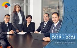 2019 2022 PLAN ESTRATÉGICO - Dra. Sofía Margarita Hernández Naranjo - SEPS