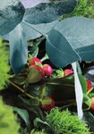 De Nadal Programa d'activitats - Ajuntament de L'Hospitalet