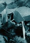 De Nadal Programa d'activitats - Ajuntament de L'Hospitalet