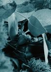 De Nadal Programa d'activitats - Ajuntament de L'Hospitalet