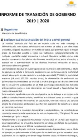 INFORME DE TRANSICI&Oacute;N DE GOBIERNO 2019