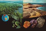 Hace tiempo Un viaje paleontol&oacute;gico ilustrado por Colombia - Smithsonian Tropical Research Institute