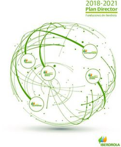 2018-2021 Plan Director Fundaciones de Iberdrola - Fundaci&oacute;n Iberdrola Espa&ntilde;a