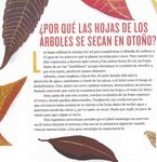 Los cambios que producen las estaciones en &aacute;rboles y arbustos de Pujato -Argentina