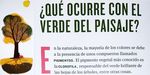 Los cambios que producen las estaciones en &aacute;rboles y arbustos de Pujato -Argentina