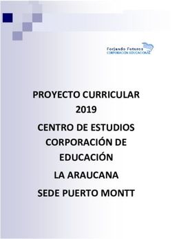 PROYECTO CURRICULAR CENTRO DE ESTUDIOS CORPORACIÓN DE EDUCACIÓN LA ARAUCANA SEDE PUERTO MONTT 2019 - Mineduc