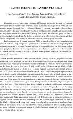 CASTOR EUROPEO EN NAVARRA Y LA RIOJA