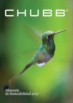 Memoria de Sostenibilidad 2017 - Chubb