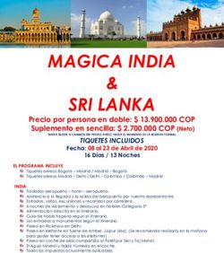 MAGICA INDIA & - Dezimatour