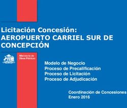 Licitación Concesión: AEROPUERTO CARRIEL SUR DE CONCEPCIÓN Modelo de Negocio Proceso de Precalificación Proceso de Licitación Proceso de ...