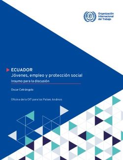 ECUADOR J&oacute;venes, empleo y protecci&oacute;n social - Insumo para la discusi&oacute;n - ILO