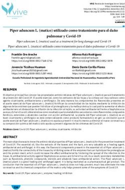 Piper aduncum L. (matico) utilizado como tratamiento para el da&ntilde;o pulmonar y Covid-19