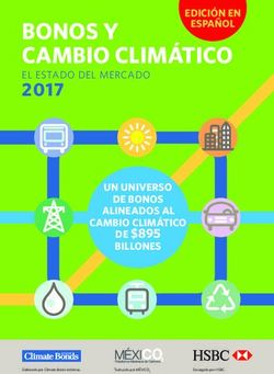 BONOS Y CAMBIO CLIM&Aacute;TICO - 2017 EL ESTADO DEL MERCADO - Bolsa Nacional de Valores
