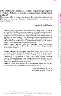 El derecho humano a la seguridad social y las obligaciones que surgen de los Tratados Bilaterales de Inversiones: fragmentación o interpretación ...