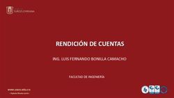 RENDICIÓN DE CUENTAS ING. LUIS FERNANDO BONILLA CAMACHO - FACULTAD DE INGENIERÍA - Universidad Surcolombiana