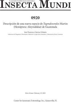 Insecta MundI 0920 Descripci&oacute;n de una nueva especie de Tegmaleurodes Martin (Hemiptera: Aleyrodidae) de Guatemala