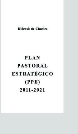 PLAN PASTORAL ESTRATÉGICO (PPE) 2011-2021 - Diócesis de Chosica - Diócesis de Chosica