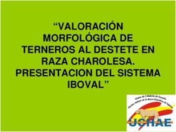 VALORACIÓN MORFOLÓGICA DE TERNEROS AL DESTETE EN RAZA CHAROLESA. PRESENTACION DEL SISTEMA IBOVAL