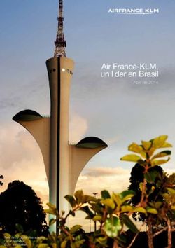 Air France-KLM, un l&iacute;der en Brasil - Abril de 2014