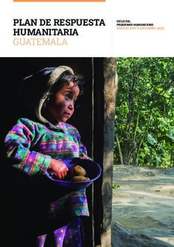 PLAN DE RESPUESTA HUMANITARIA GUATEMALA - CICLO DEL PROGRAMA ...