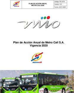 Plan de Acci&oacute;n Anual de Metro Cali S.A. Vigencia 2020