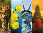 NOVIOS ASIA &Aacute;FRICA AM&Eacute;RICA PAC&Iacute;FICO - Dimensiones Club