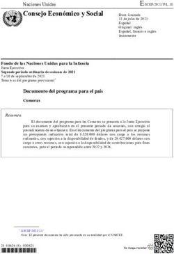 Consejo Econ&oacute;mico y Social - Naciones Unidas - UNICEF