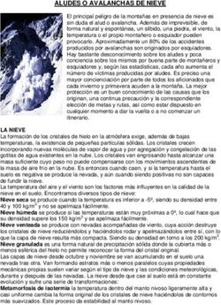 ALUDES O AVALANCHAS DE NIEVE