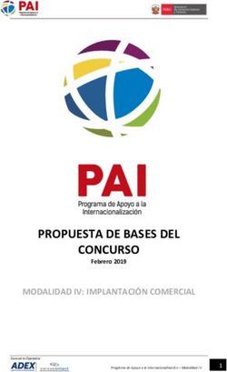 PROPUESTA DE BASES DEL CONCURSO - MODALIDAD IV: IMPLANTACIÓN COMERCIAL Febrero 2019 - pai