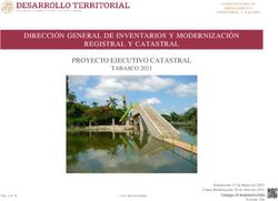 DIRECCIÓN GENERAL DE INVENTARIOS Y MODERNIZACIÓN REGISTRAL Y CATASTRAL PROYECTO EJECUTIVO CATASTRAL