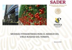 MEDIDAS FITOSANITARIAS PARA EL MANEJO DEL VIRUS RUGOSO DEL TOMATE - Marzo de 2019 - Comit&eacute; Estatal de Sanidad Vegetal de Sonora