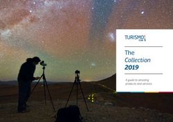 The Collection 2019 A guide to amazing products and services - Fedetur