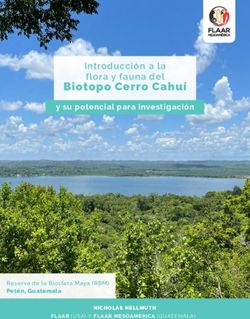 Biotopo Cerro Cahu&iacute; Introducci&oacute;n a la flora y fauna del - y su potencial para investigaci&oacute;n - FLAAR MESOAMERICA