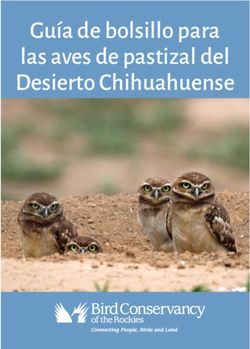 Gu&iacute;a de bolsillo para las aves de pastizal del Desierto Chihuahuense