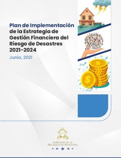 Plan de Implementación de la Estrategia de Gestión Financiera del Riesgo de Desastres 2021-2024 - Junio, 2021 - SEFIN