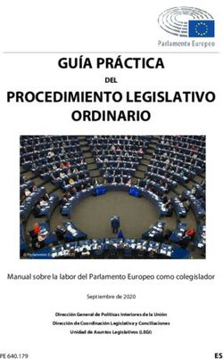 GU&Iacute;A PR&Aacute;CTICA - European Parliament