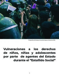 Vulneraciones a los derechos de niños, niñas y adolescentes por parte de agentes del Estado durante el "Estallido Social" - Fotografía de Rodrigo ...