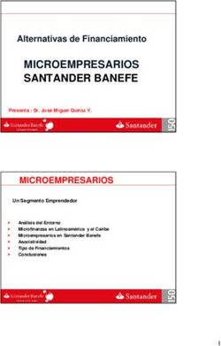MICROEMPRESARIOS SANTANDER BANEFE - Alternativas de Financiamiento